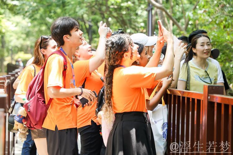 入境游热折射中国魅力